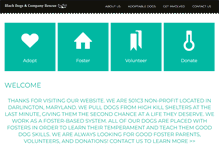 Tablet Screenshot of blackdogsandcompanyrescue.org